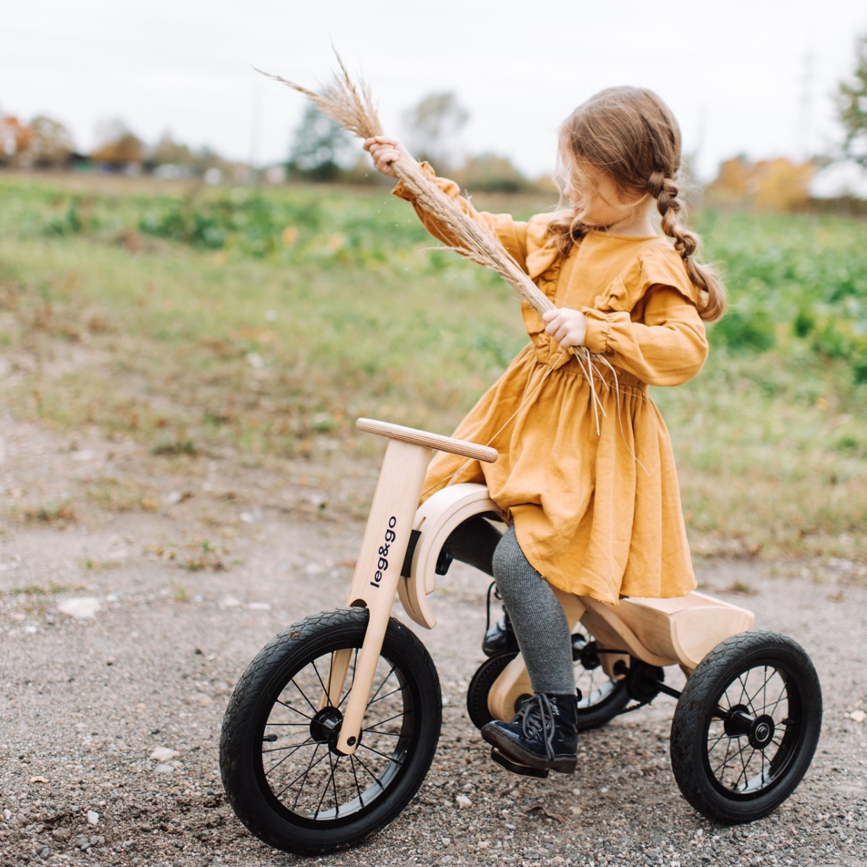 tricycle-add-on-for-the-leggo-balance-bike-3in1-8548caa6.jpg