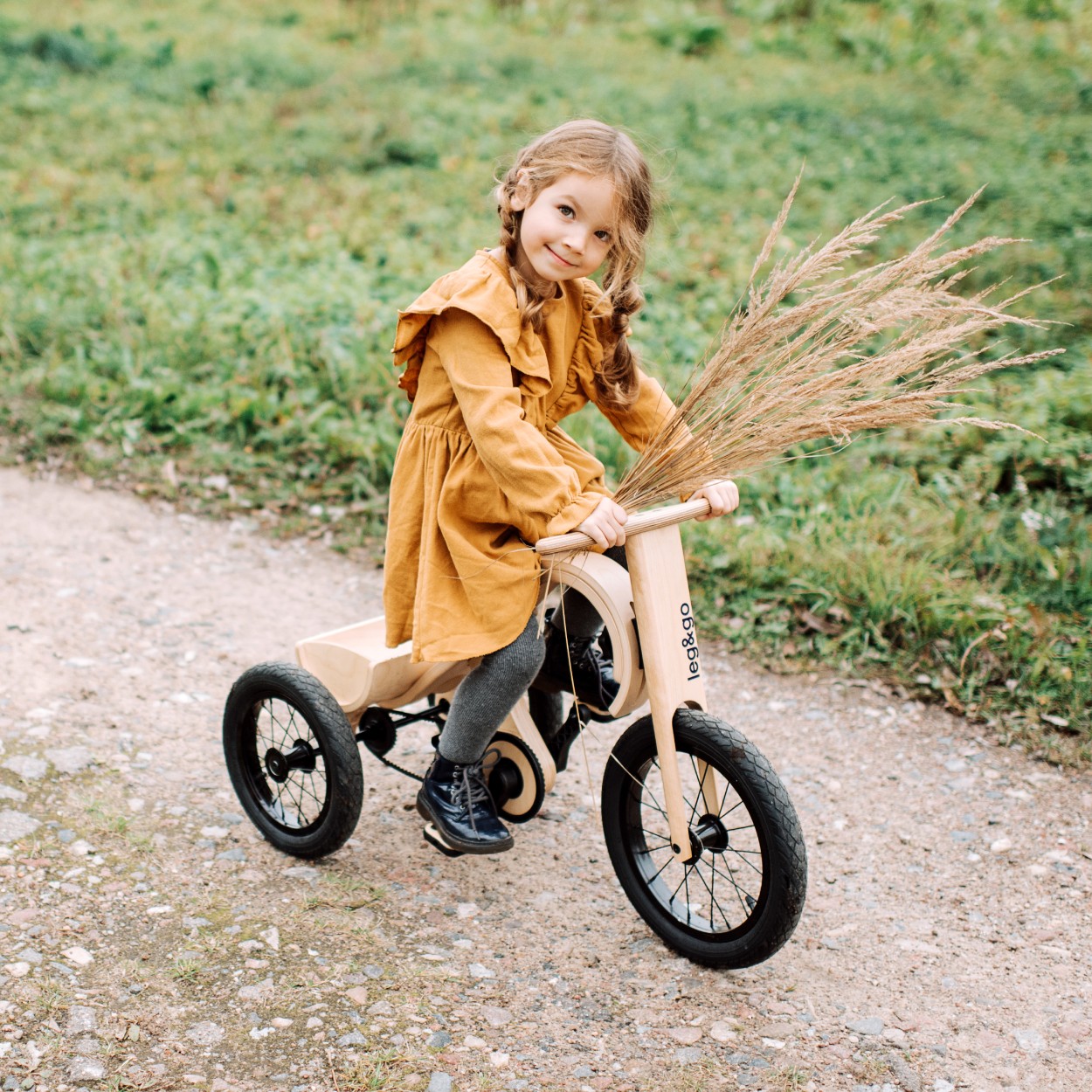 tricycle-add-on-for-the-leggo-balance-bike-3in1-cf1c9cc3.jpg